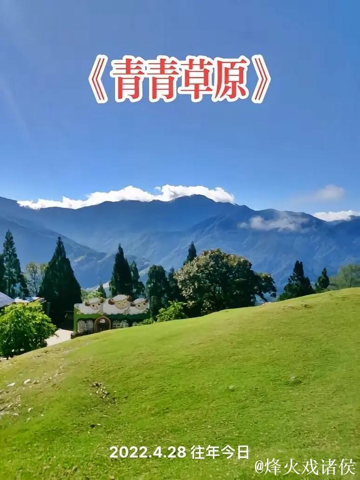 91青青草原线免费观看 91青青草原线免费观看